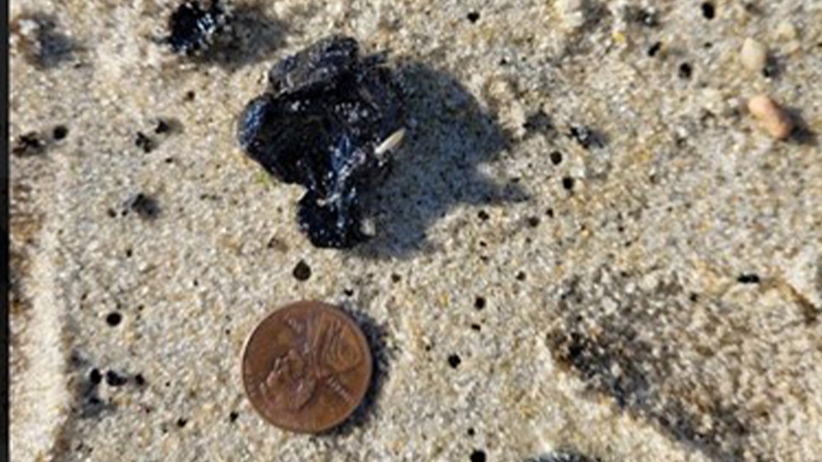 Tar ball next to penny