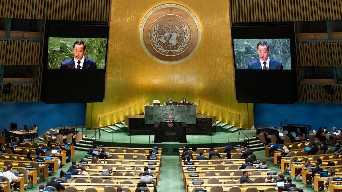 United Nations North Korea