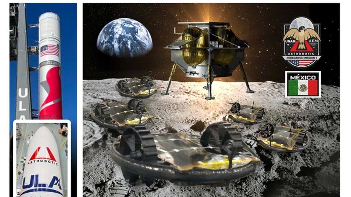 Microbot moon project