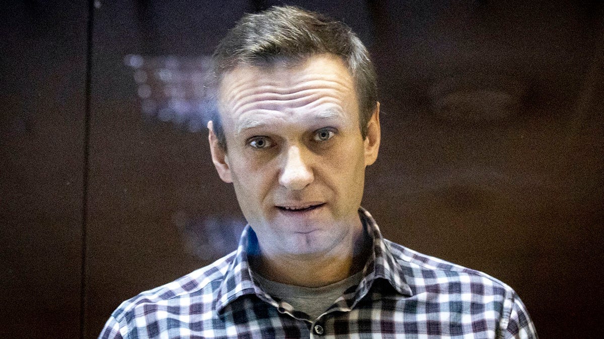 Russian opposition leader Alexei Navalny