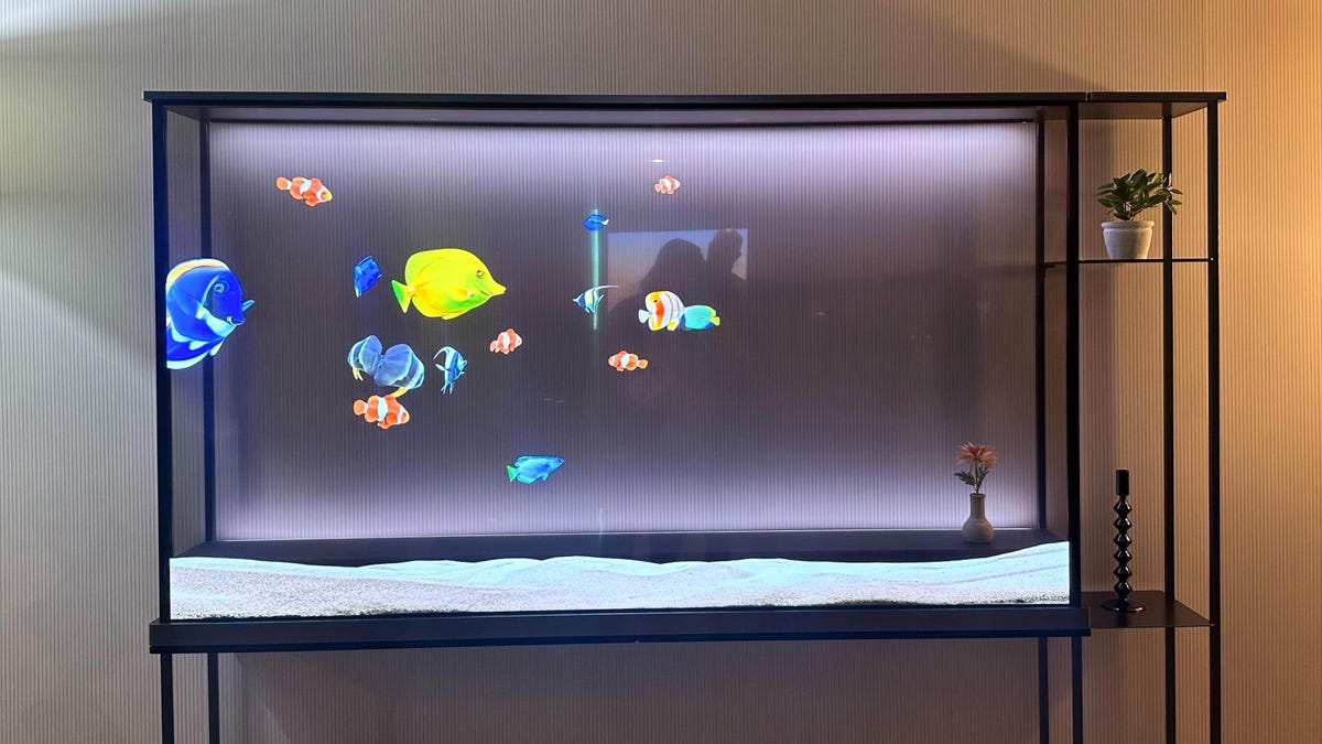 LG Transparent OLED