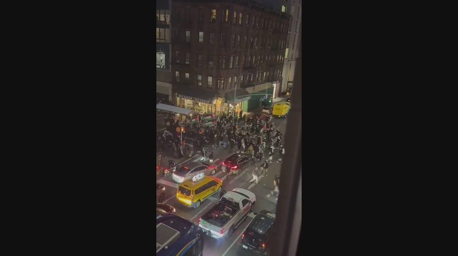 Pro-Palestinian protesters descend on NYC hospital