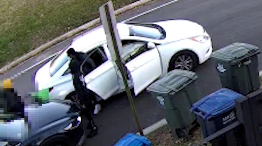 College student's luxury winter jacket stolen in broad daylight