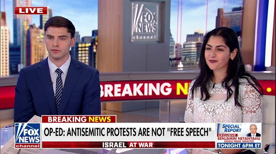 Cornell student slams ‘hostile’ campuses: We’re paying a fortune to be indoctrinated