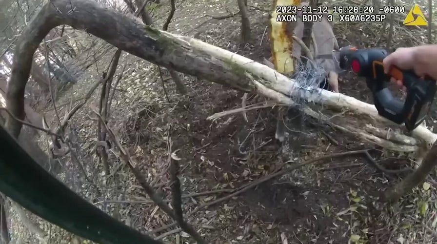 Wisconsin sheriff deputies rescue a buck whose antlers were tangled in barbed wire for two days