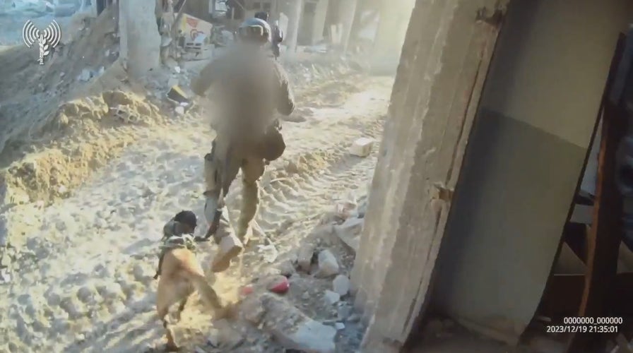 IDF releases footage of K9 unit clearing houses in Gaza