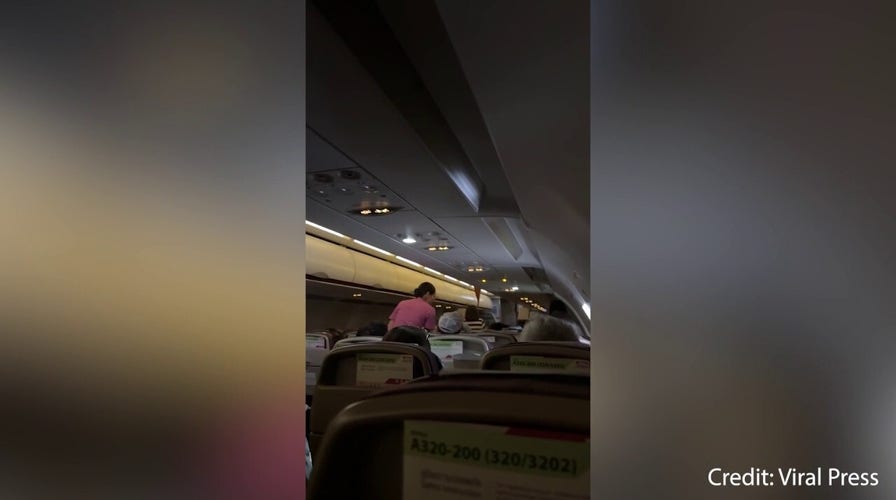 Canadian tourist, 40, who opened plane door says he was 'paranoid'