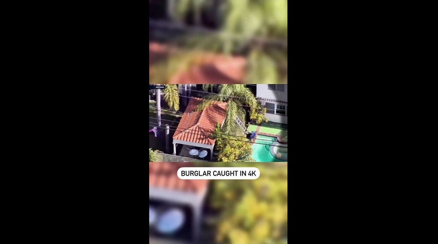 California burglar slips off ladder, falls into pool