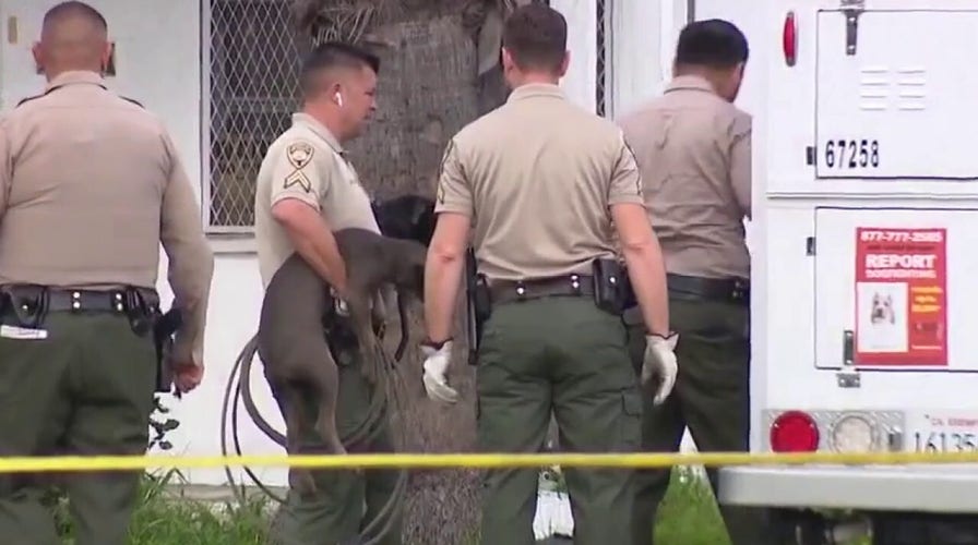 California man attacked by pit bulls in backyard kennel