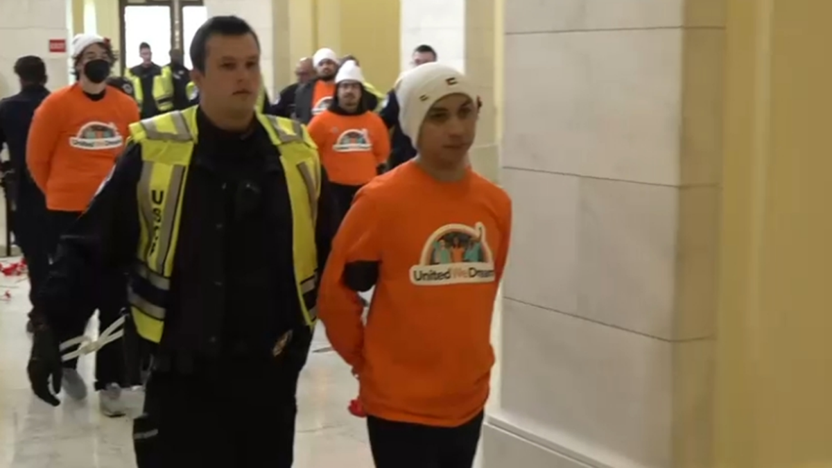 Pro-Palestinian protest on Capitol Hill