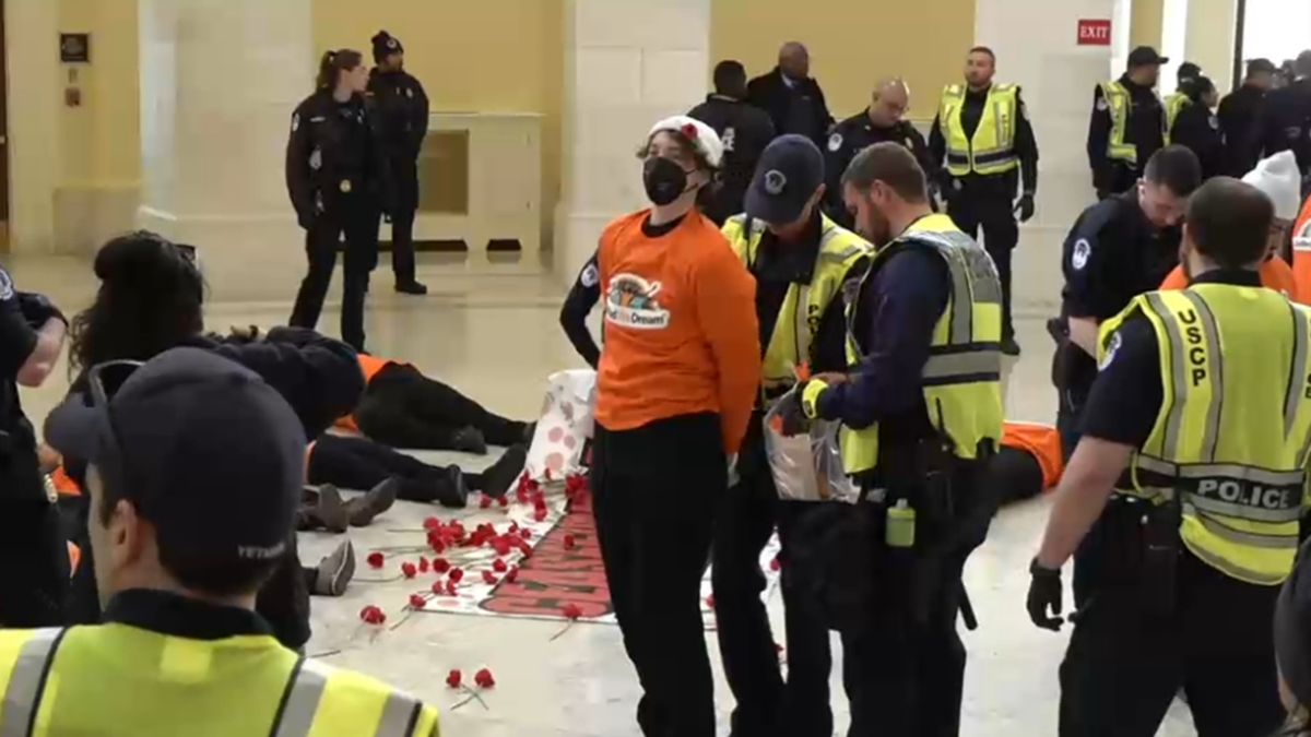 US Capitol Police arrest pro-Palestinian protesters