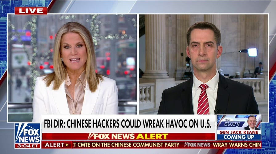 Senator: We need to convince China we can get on offense