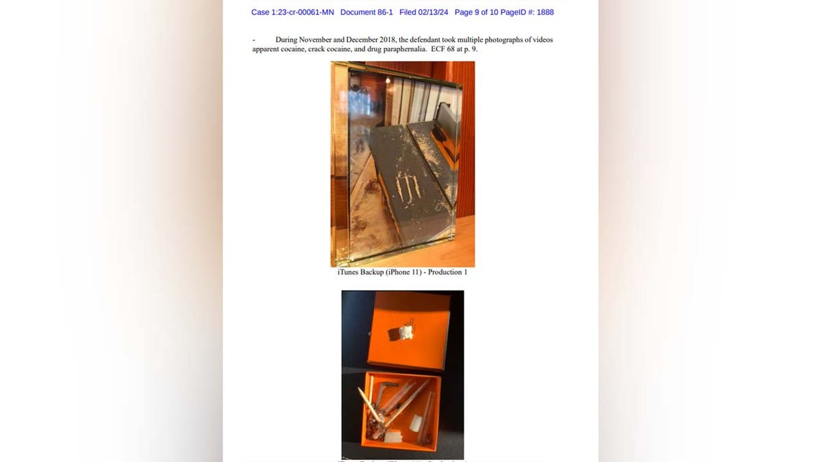 photo exhibit in Hunter Biden case