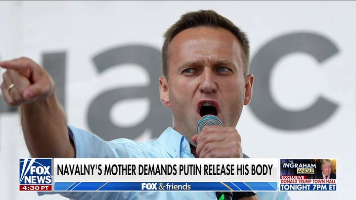 Alexei Navalny's mother sends message to Putin: 'Let me finally see my son'