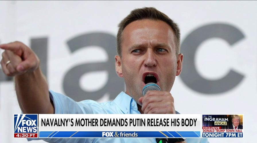Alexei Navalny's mother sends message to Putin: 'Let me finally see my son'