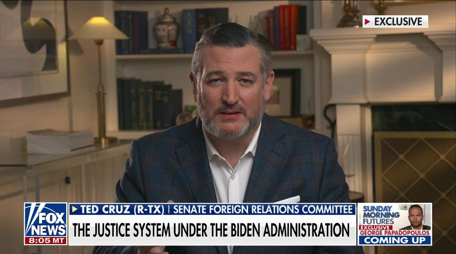 Senator slams Dems for weaponizing justice system against Trump: 'Frightening and sad'