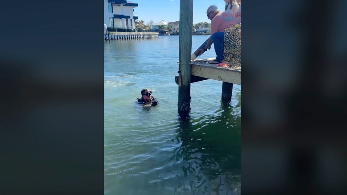 Marine scientist in ocean