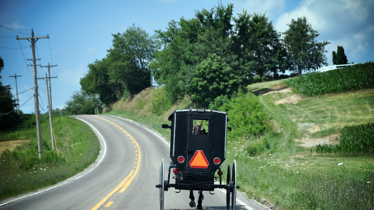 Amish Buggy