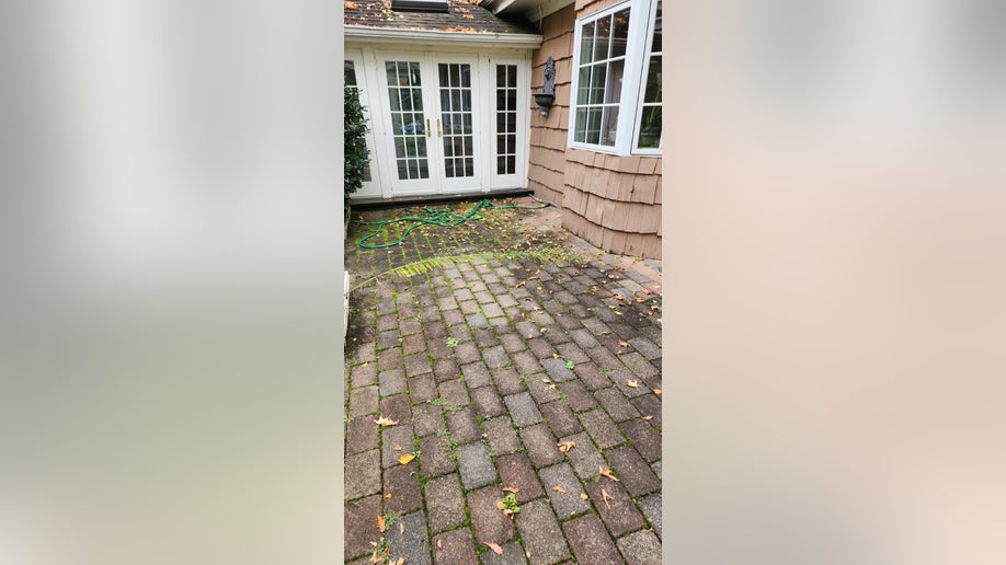 Water damage yard