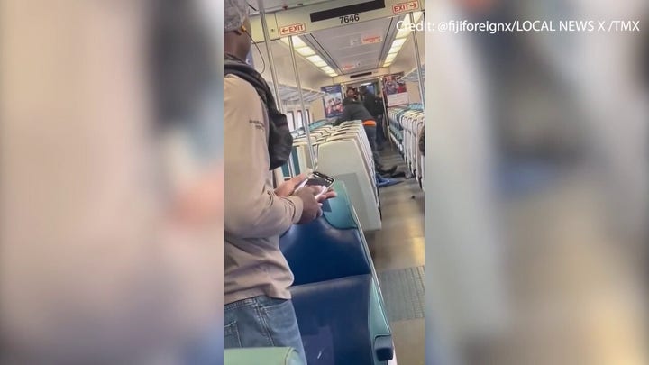 Long Island Rail Road slashing caught on video