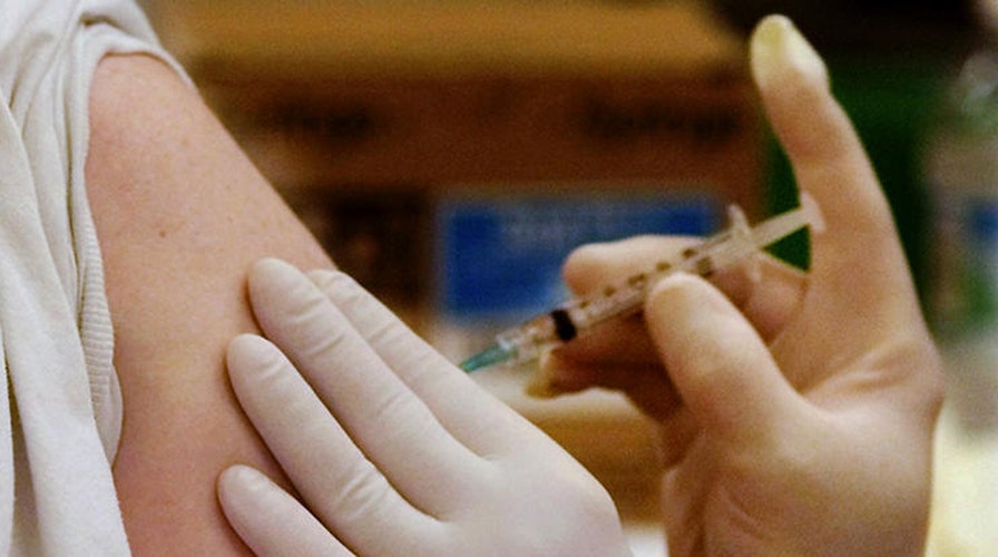 Researcher may have a vaccine for Dengue