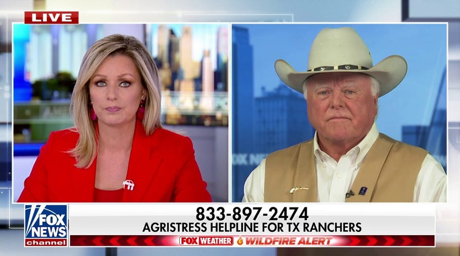 Texas wildfires devastate cattle country