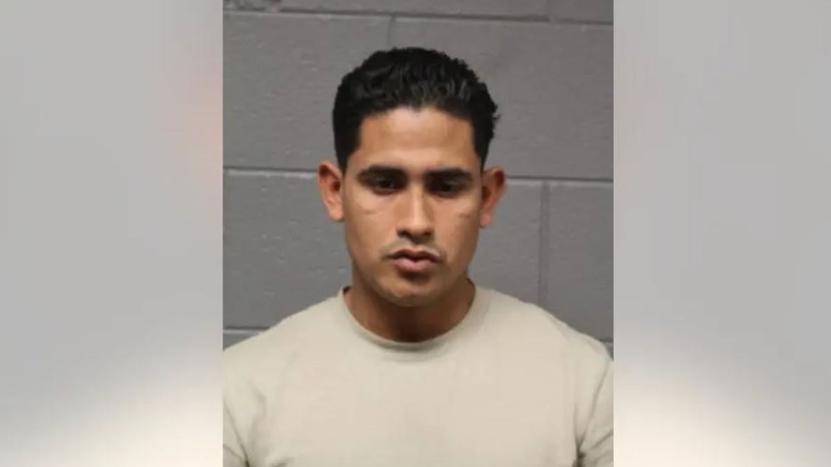 Elvis Hernandez-Pernalete mugshot