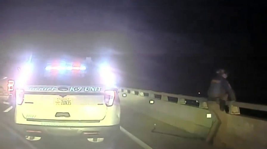 Florida sheriff's deputy saves life of her K-9