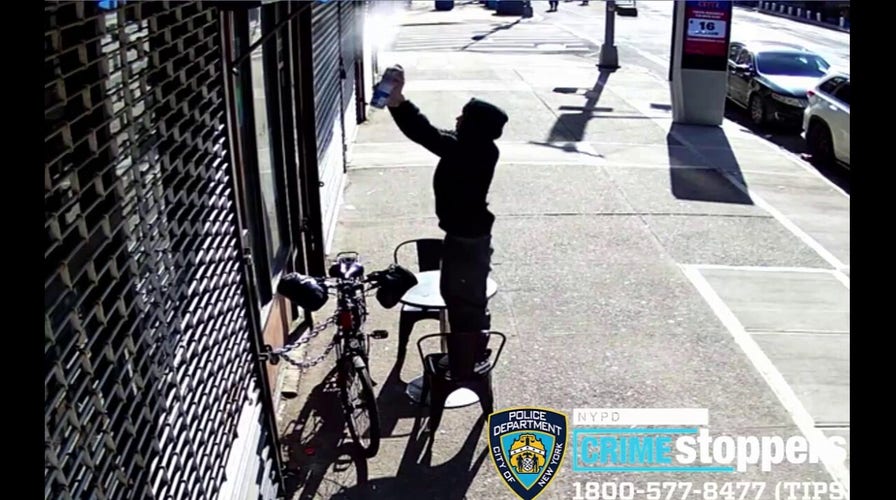 Would-be NYC arsonist fails to torch US, Israeli flags