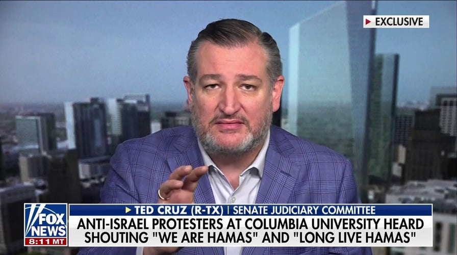 Ted Cruz on rise in anti-Israel protests: 'This tragically is cultural Marxism'