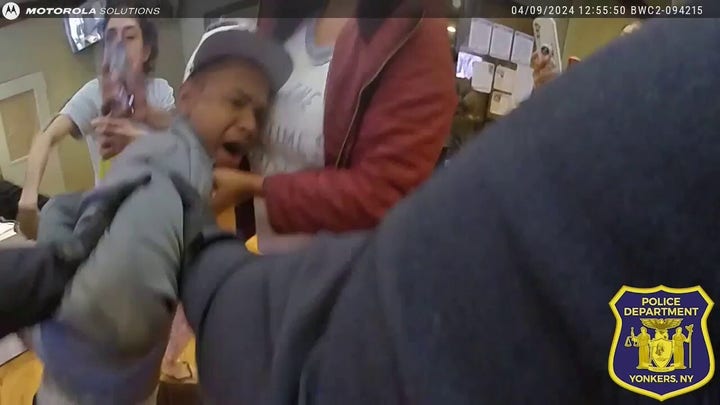 Police footage captures chaotic migrant arrest at hotel shelter in New York 