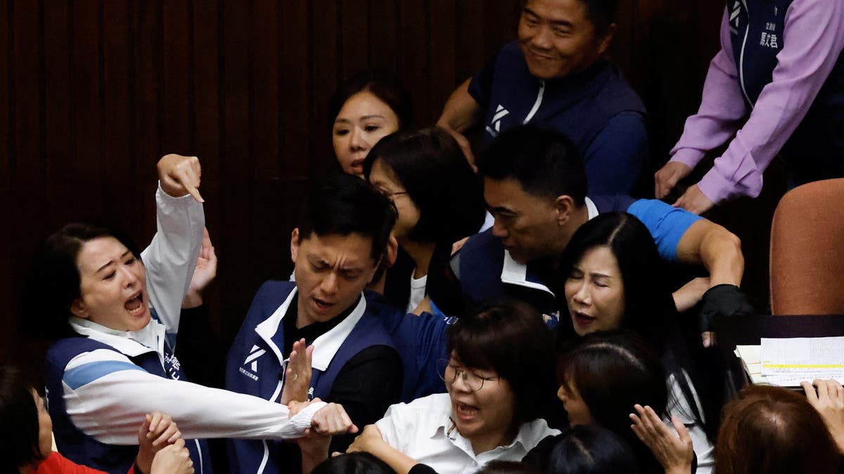 Lawmakers shoving each other