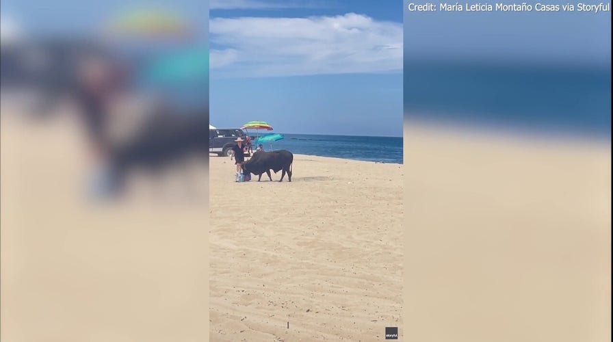 Loose bull attacks woman on popular Mexican beach, wild video shows