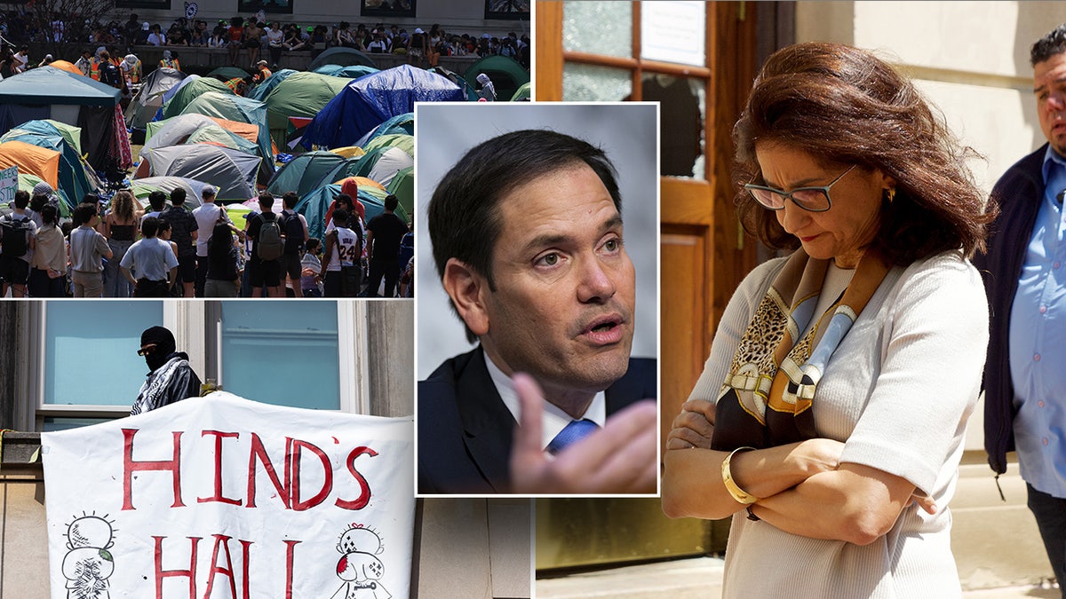 Marco Rubio, Minouche Shafik