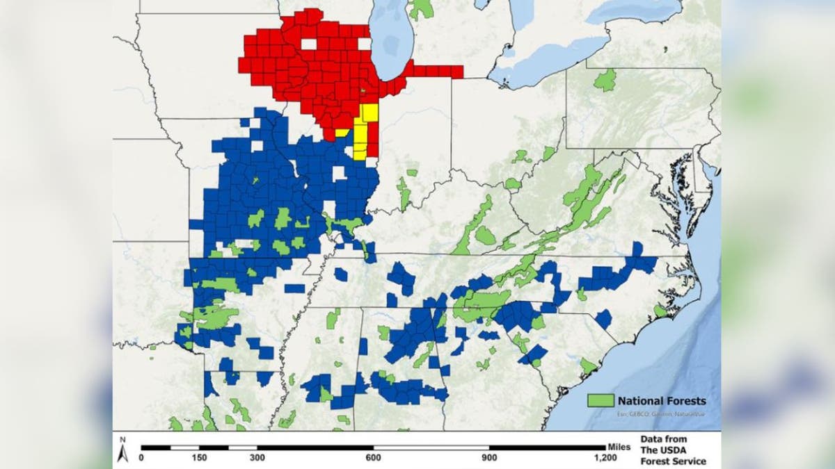 2024 cicadas map