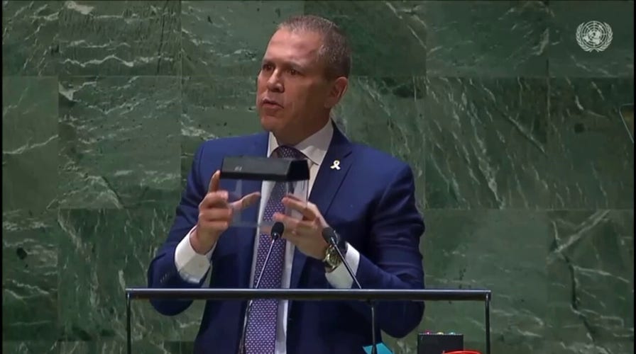 Israeli ambassador shreds UN charter