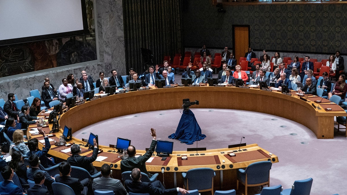 Members of the United Nations Security Council vote on a resolution on non-proliferation.