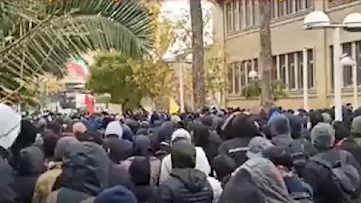 Iranian protesters