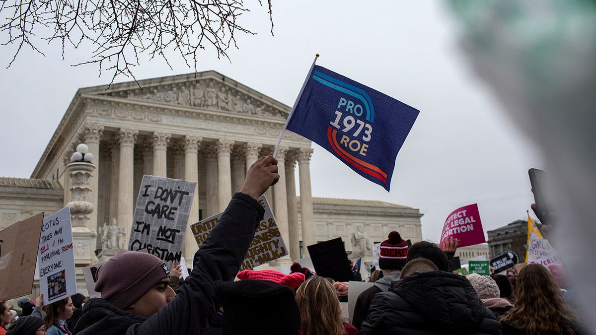 Abortion activist holds Pro 1973 Roe flag