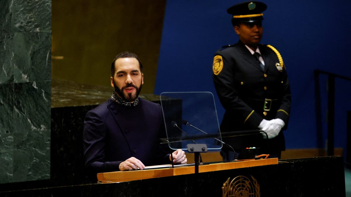 United Nations General Assembly
