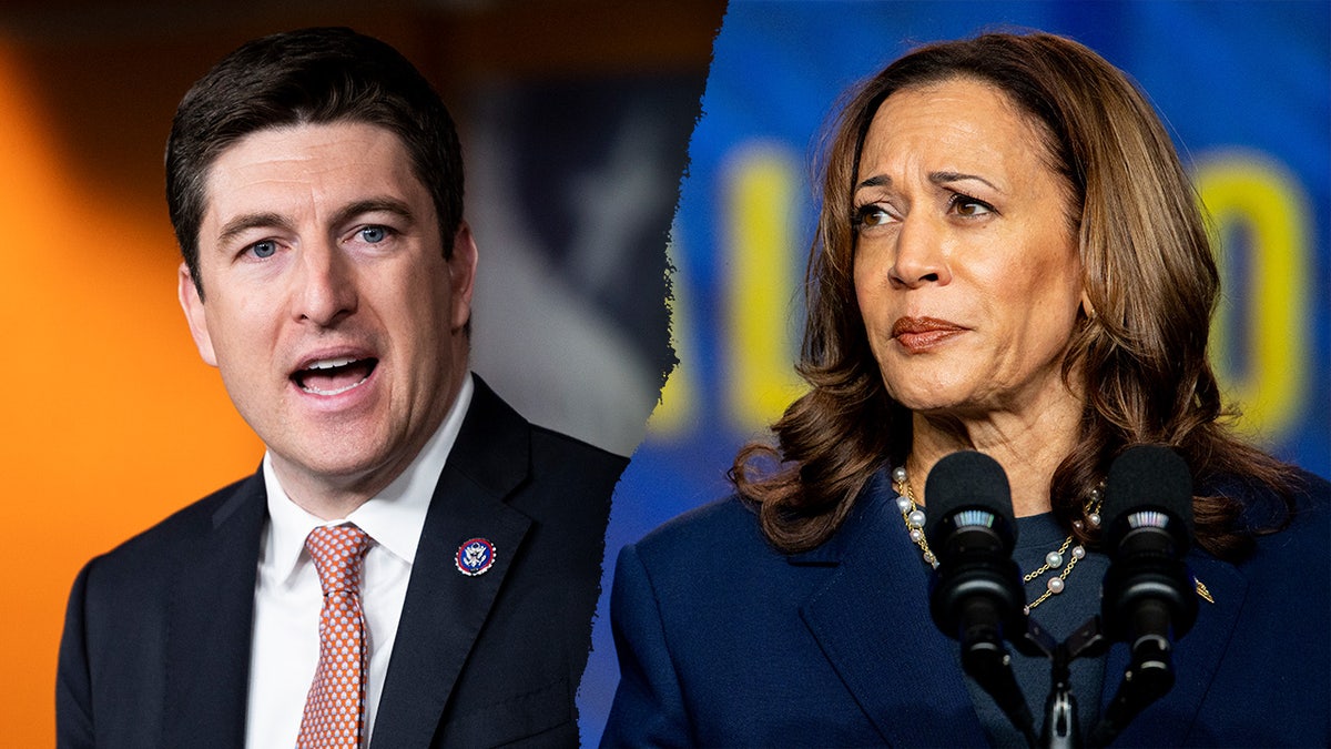 Bryan Steil, Kamala Harris
