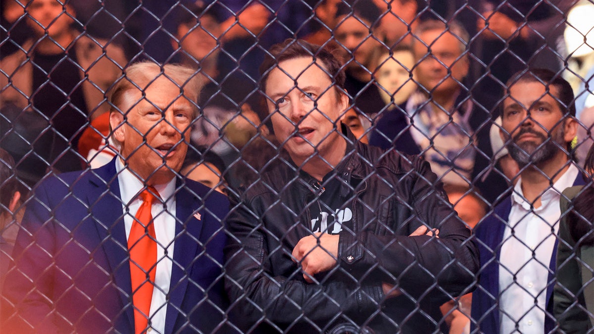 US President-elect Donald Trump, Tesla and SpaceX CEO Elon Musk and Donald Trump Jr.