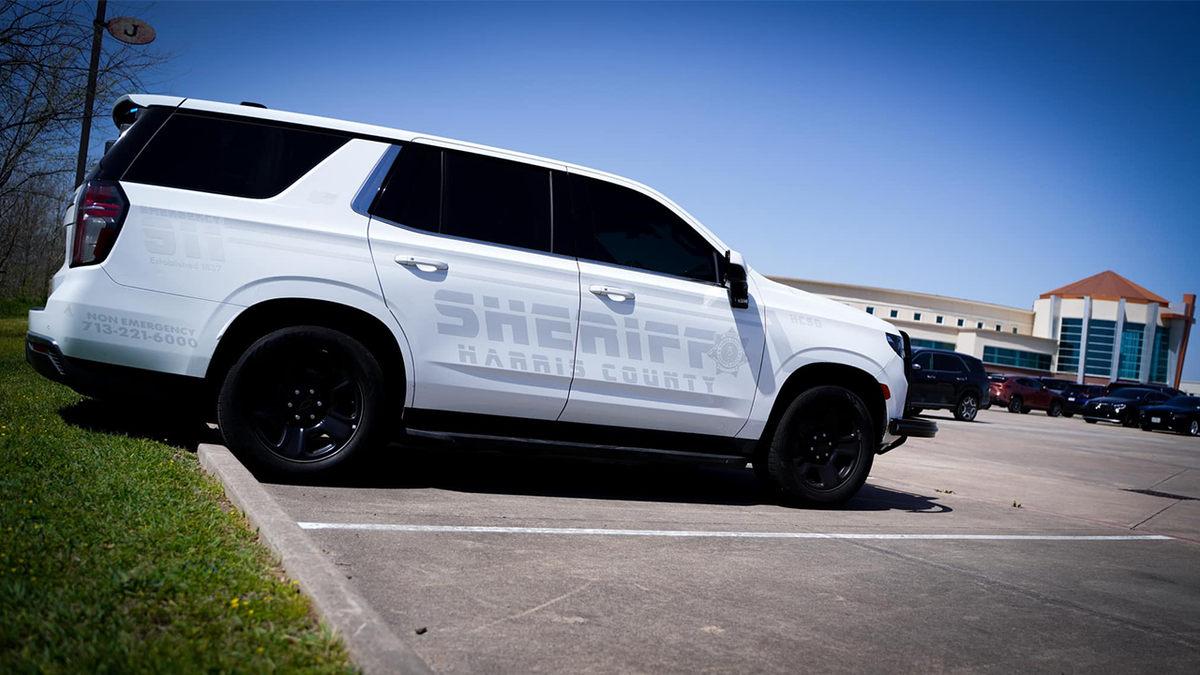 HCSO car
