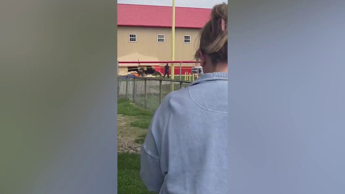 Woman standing at site of crash