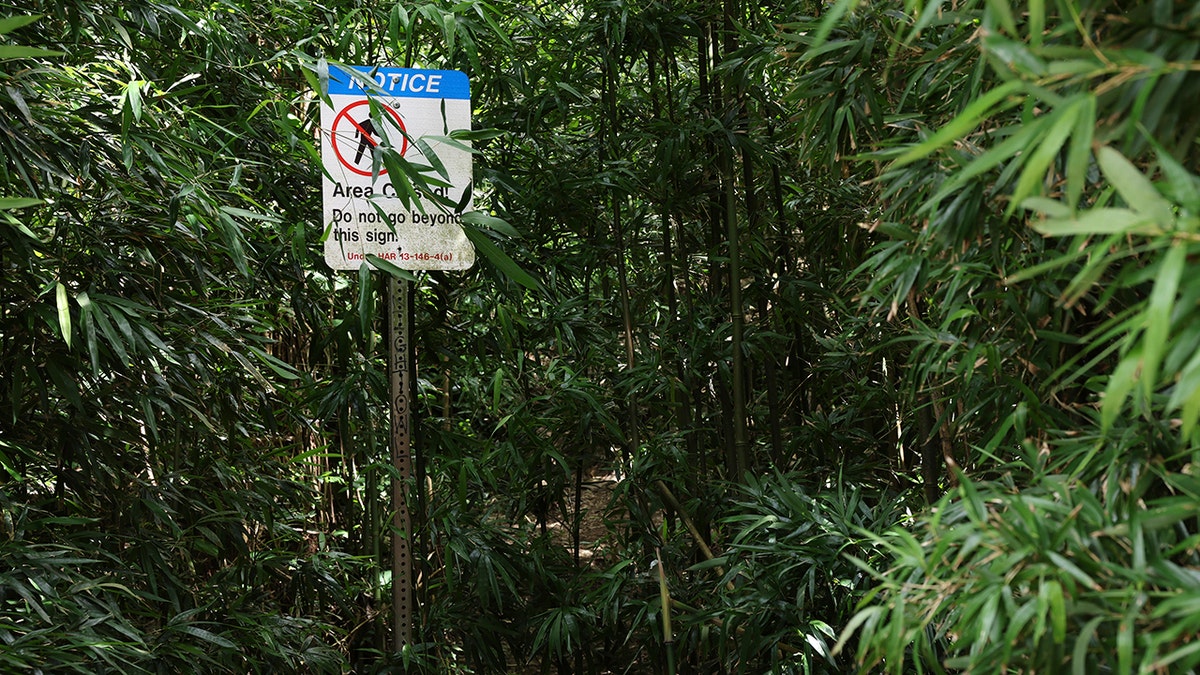 The location in Hawaii where Gerhardt Konig allegedly attempted to kill his wife