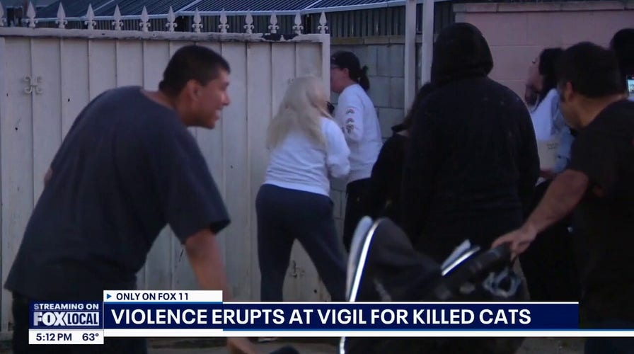 Angry mob targets wrong house during vigil for murdered cats