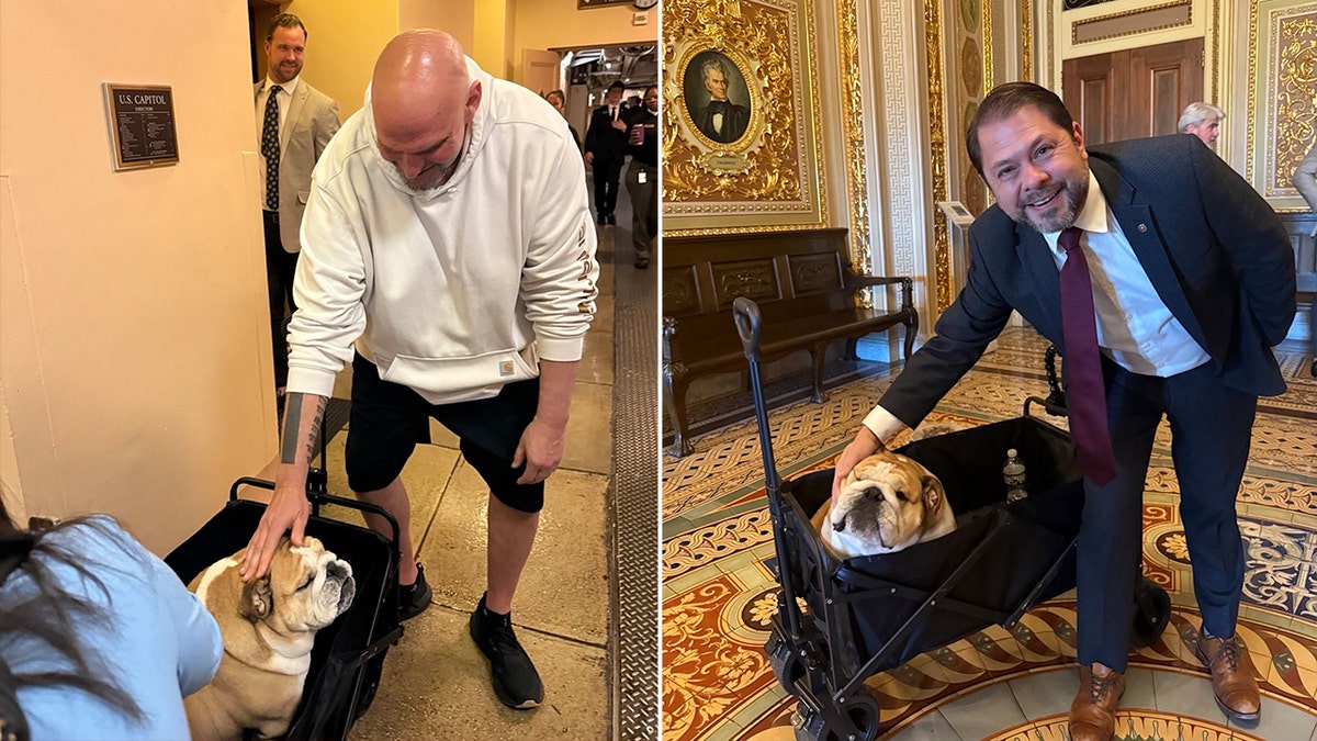 Senator Fetterman and Babydog, left, Senator Gallego and Babydog, right