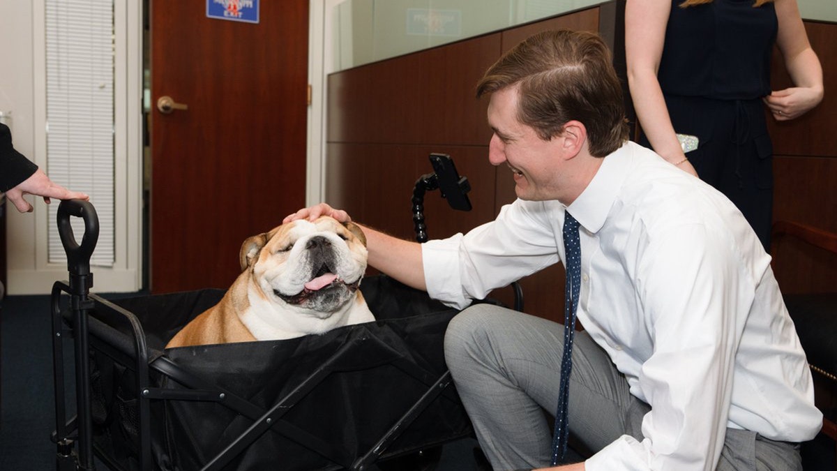 Babydog poses with Senator Hyde-Smith staffer