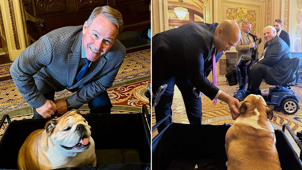 Senator Husted and Babydog, left, Senator Booker and Babydog, right