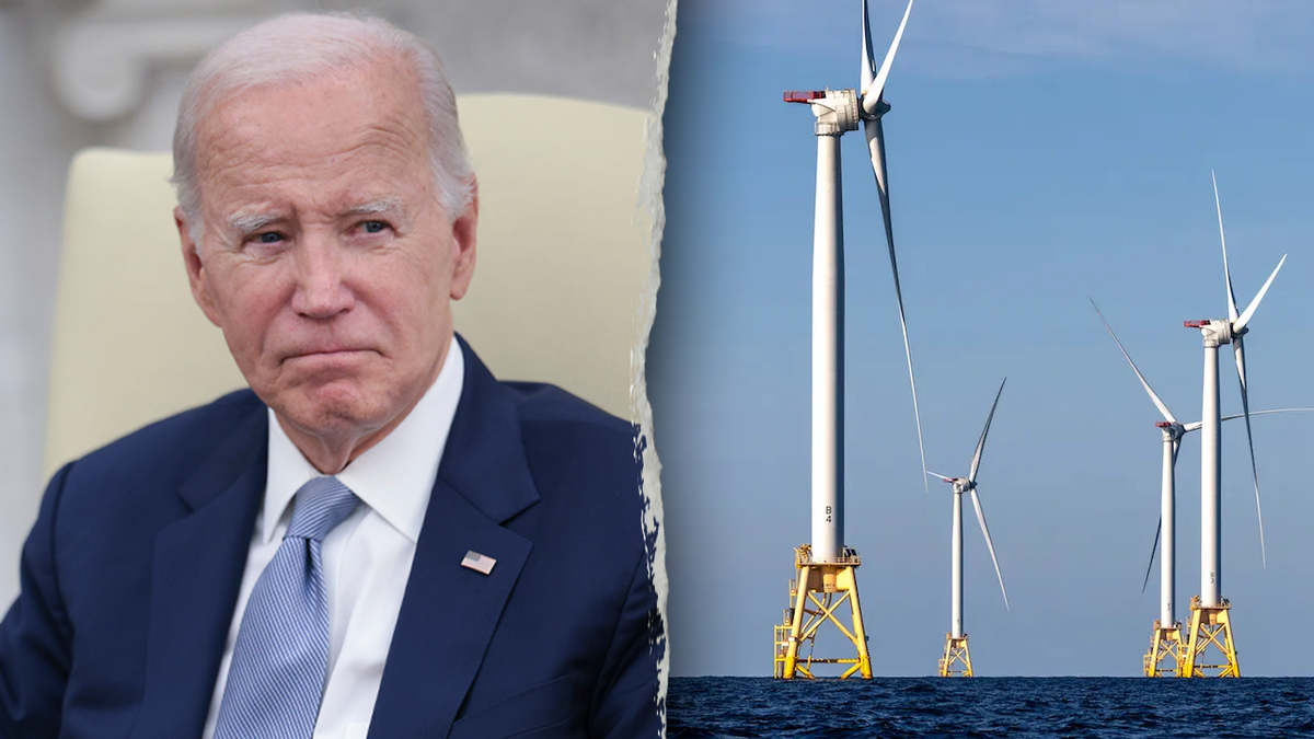 A $5 billion green energy project touted by the Biden administration and Democrats was rushed and relied on faulty science that could have resulted in severe negative environmental impacts, a new study found.
